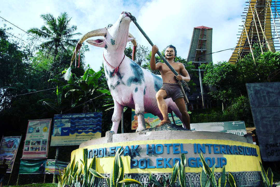 Toraja Heritage Hotel, Best Hotel in Toraja, Toraja cultural, Budaya Toraja, hotel terbaik di Toraja, Wisata Toraja.